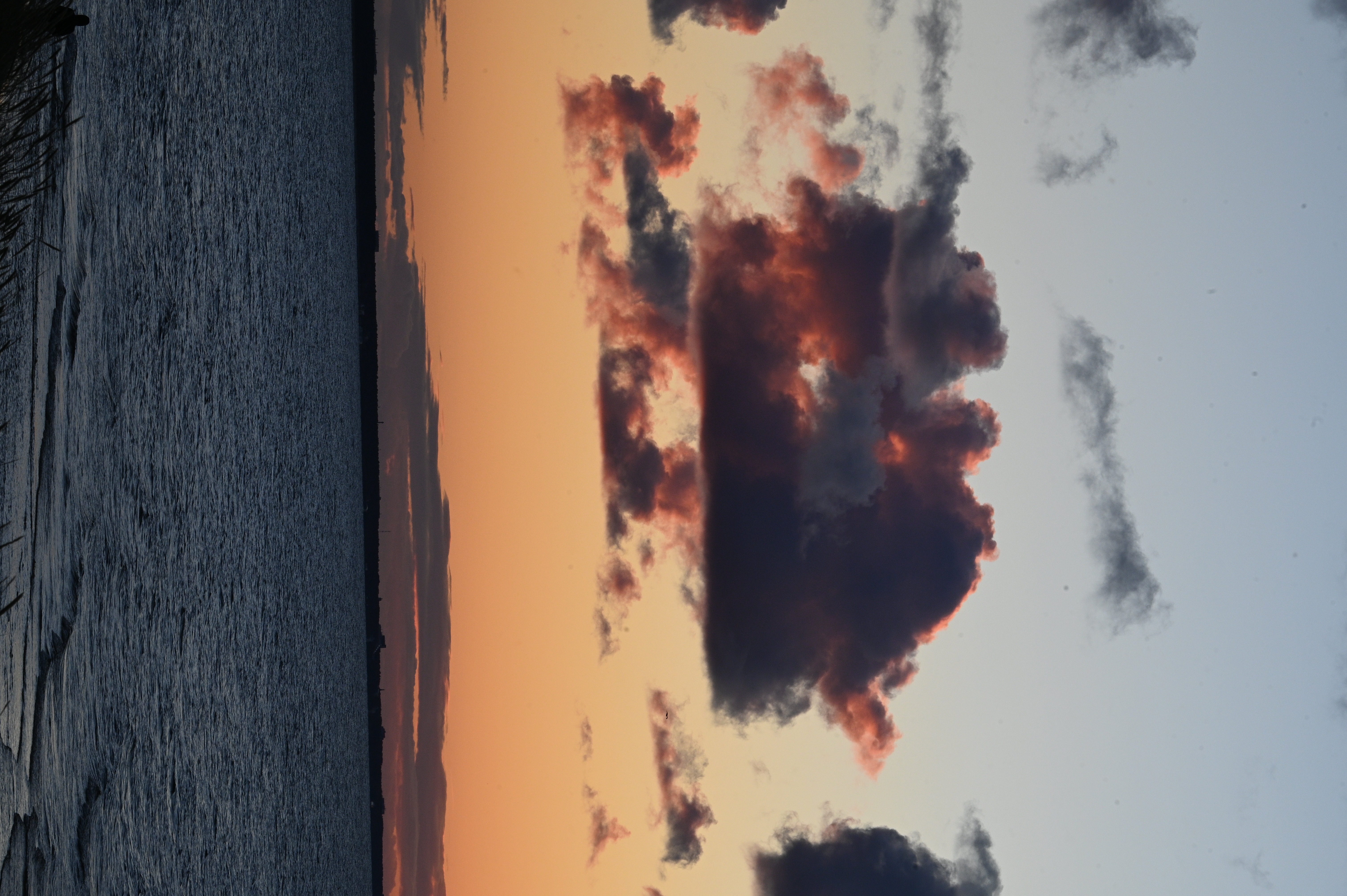 2025/10/18 - walk/DSC_0510.JPG